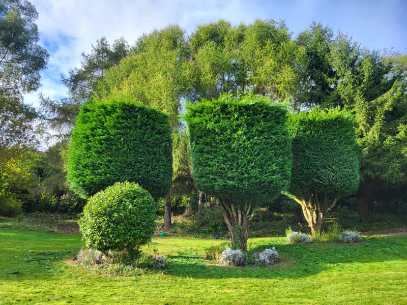 Planting & Maintenance